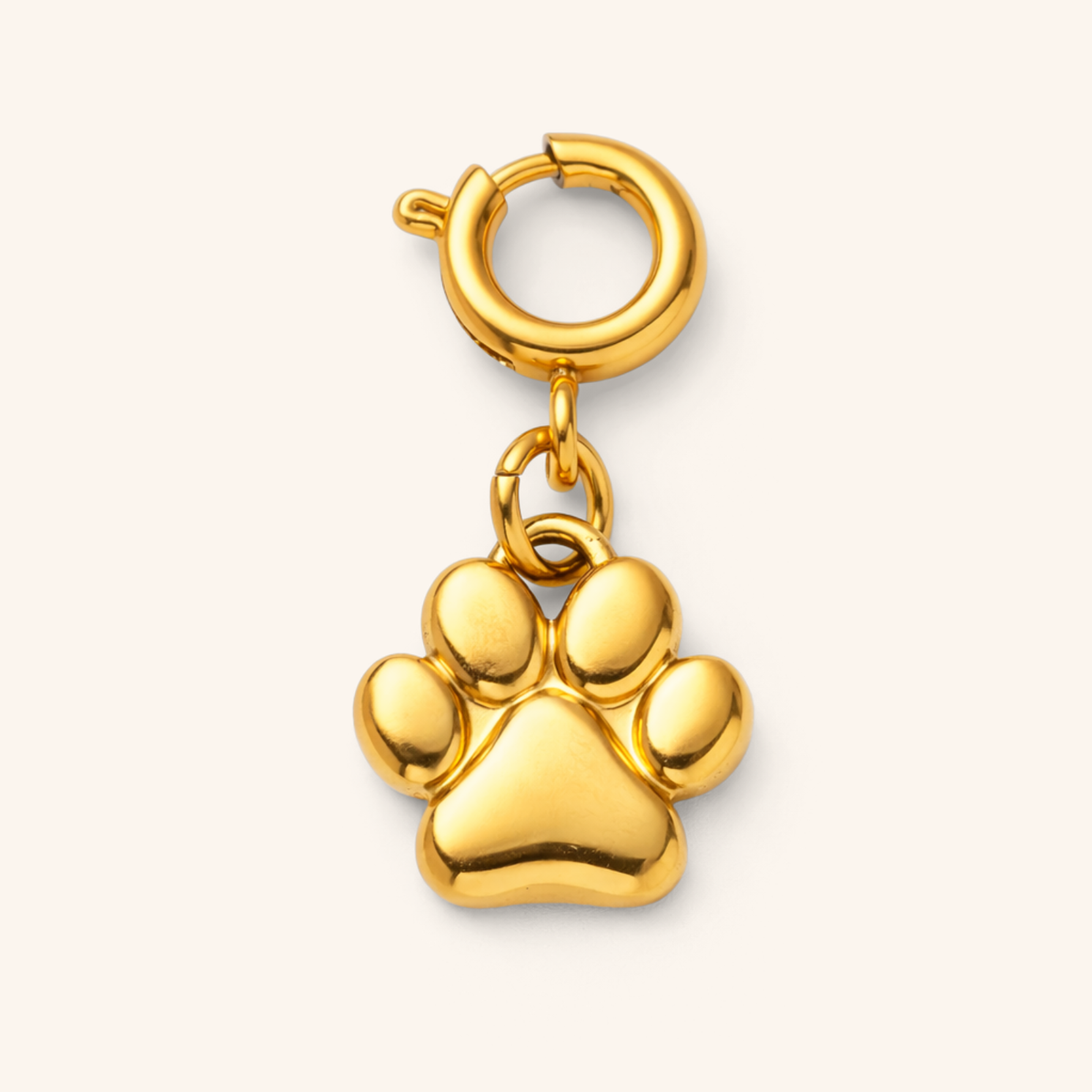 Le pendentif chien Bellepierre