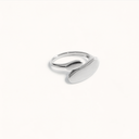  Argent